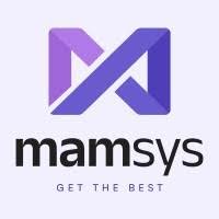 Mamsys